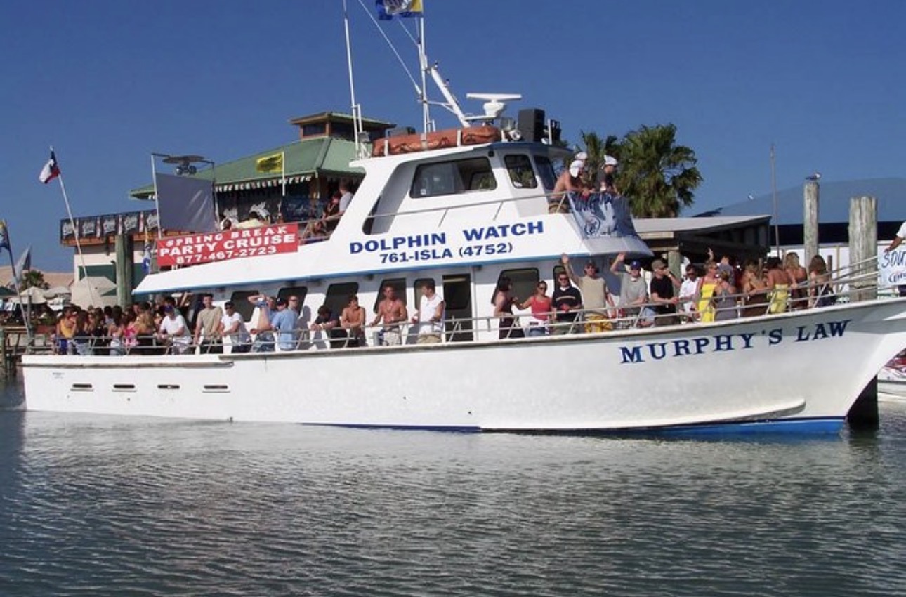 Dolphin-watching cruises